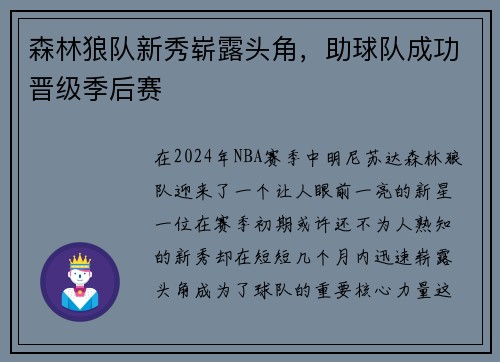 森林狼队新秀崭露头角，助球队成功晋级季后赛