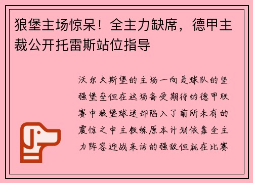 狼堡主场惊呆！全主力缺席，德甲主裁公开托雷斯站位指导