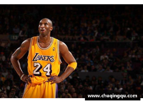 NBA鲜为人知的花式球技：探索球场上的视觉盛宴 - 副本