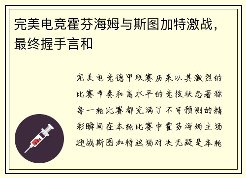 完美电竞霍芬海姆与斯图加特激战，最终握手言和