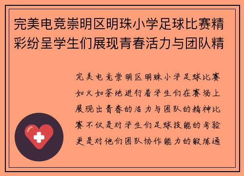 完美电竞崇明区明珠小学足球比赛精彩纷呈学生们展现青春活力与团队精神