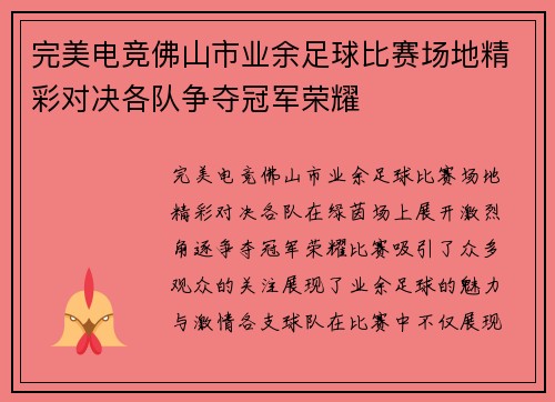 完美电竞佛山市业余足球比赛场地精彩对决各队争夺冠军荣耀