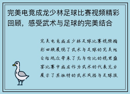 完美电竞成龙少林足球比赛视频精彩回顾，感受武术与足球的完美结合