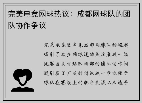 完美电竞网球热议：成都网球队的团队协作争议