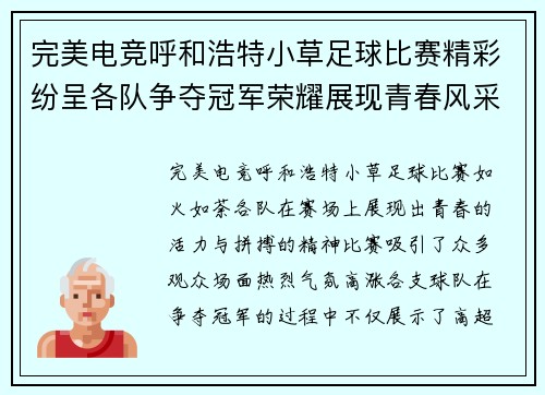 完美电竞呼和浩特小草足球比赛精彩纷呈各队争夺冠军荣耀展现青春风采